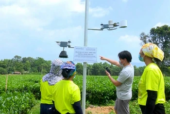 Mô hình trạm quan trắc thời tiết thông minh metos phục vụ việc chăm sóc cây chè ở Thái Nguyên.