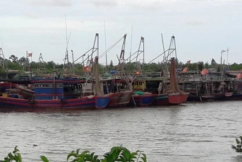 Thanh Hóa chủ động ứng phó cơn bão số 4