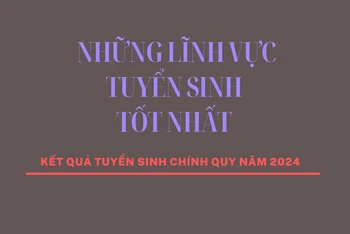 [Infographic] Những lĩnh vực tuyển sinh tốt nhất năm 2024