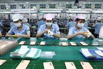 Sản xuất tại Công ty TNHH Samkwang Vina khu công nghiệp Quang Châu, Bắc Giang.