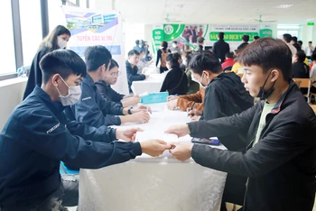 Phiên giao dịch việc làm thu hút hơn 500 lao động trực tiếp tham gia tìm việc làm.