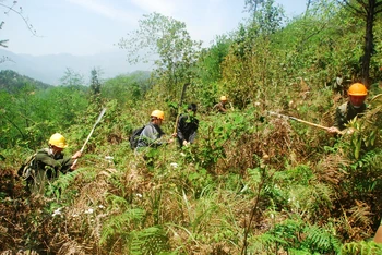 Kiểm lâm Vườn quốc gia Hoàng Liên chủ động phòng, chống cháy rừng khi gió nóng "Ô Quý Hồ" gia tăng. (Ảnh: Quốc Hồng)