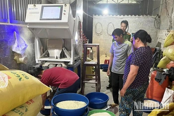 Lực lượng chức năng kiểm tra, ngăn chặn sản xuất gạo Séng Cù xanh tại chủ hộ kinh doanh Lục Đức Khón, thị trấn Mường Khương, huyện Mường Khương-Lào Cai. (Ảnh: ĐĂNG NĂM)
