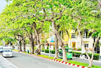 Côn Đảo hôm nay trở thành điểm đến du lịch hấp dẫn.