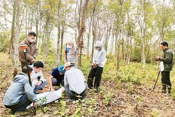 Đo đạc, kiểm đếm để bồi thường cho người dân tại xã Trung Mỹ, huyện Bình Xuyên.