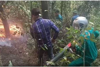 Hiện tại, đang bắt đầu bước vào các đợt cao điểm nắng nóng, tiềm ẩn nguy cơ cháy rừng cao. (Ảnh: Công an Thành phố Hà Nội)