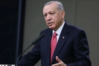 Tổng thống Thổ Nhĩ Kỳ Recep Tayyip Erdogan. (Ảnh: IRNA/TTXVN)