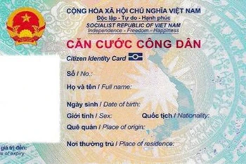 Ảnh minh họa.