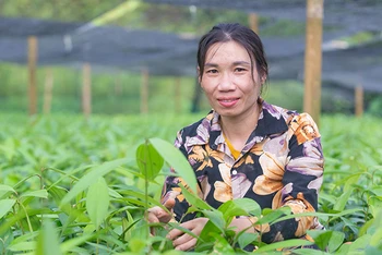 Phụ nữ ở Yên Bái tham gia dự án “Bứt phá: Thúc đẩy tài chính toàn diện cho phụ nữ dân tộc thiểu số” giúp nhiều chị thoát nghèo. (Ảnh: Care quốc tế tại Việt Nam)