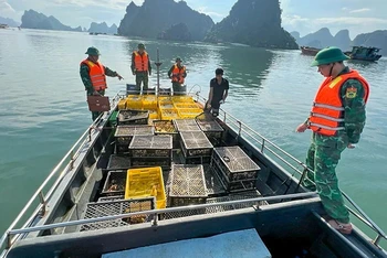 Cán bộ, chiến sĩ bộ đội biên phòng tỉnh Quảng Ninh bắt giữ phương tiện chở gia cầm và trứng gia cầm nhập lậu trên vùng biển xã Quan Lạn, huyện Vân Đồn. (Ảnh Xuân Hùng) Cán bộ, chiến sĩ bộ đội biên phòng tỉnh Quảng Ninh bắt giữ phương tiện chở gia cầm và trứng gia cầm nhập lậu trên vùng biển xã Quan Lạn, huyện Vân Đồn. (Ảnh Xuân Hùng)