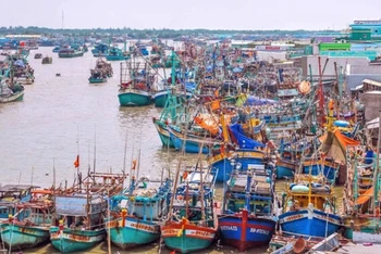 Tàu thuyền đánh bắt xa bờ tại Cà Mau. (Ảnh TTXVN)