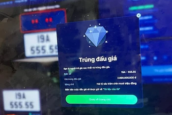 Đấu giá thành công phiên đầu tiên sáng 15/9.