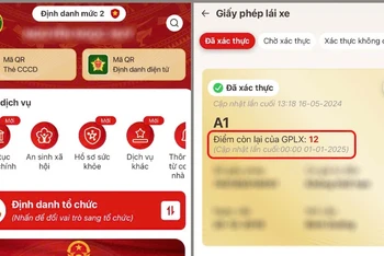 Điểm giấy phép lái xe sẽ được tự động cập nhật khi công dân sử dụng dịch vụ công mức độ 2.
