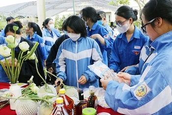 Đoàn viên, thanh niên Quảng Bình tìm hiểu mô hình khởi nghiệp trong tỉnh.