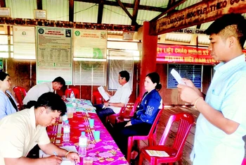 Triển khai chủ trương nhất thể hóa chức danh Bí thư kiêm Trưởng thôn hoặc Trưởng ban Công tác Mặt trận thôn đạt hiệu quả cao tại cơ sở.