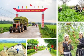 [Video] Chương trình mục tiêu quốc gia xây dựng nông thôn mới có sự điều chỉnh về vốn ngân sách thực hiện 