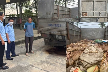 Da trâu, bò không rõ nguồn gốc, xuất xứ chở trên phương tiện bị cơ quan chức năng phát hiện, xử lý.
