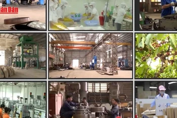 Phát triển kinh tế tư nhân - Đòn bẩy cho một Việt Nam thịnh vượng.