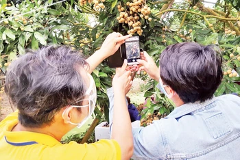 Nhân viên VNPost hướng dẫn người nông dân đưa các mặt hàng nông sản lên sàn thương mại điện tử.