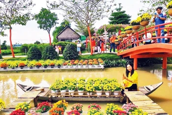 Du khách tham quan, trải nghiệm “Cánh đồng hoa hồng” ở thành phố Sa Đéc.