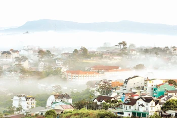 Đà Lạt trong sương.