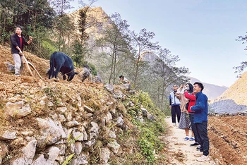 Sùng Mí Phìn dẫn khách du lịch trải nghiệm cuộc sống, sinh hoạt của người H’Mông.
