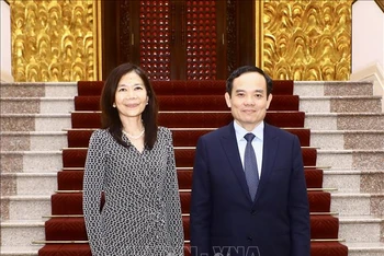 Phó Thủ tướng Trần Lưu Quang tiếp Điều phối viên thường trú Liên hợp quốc Pauline Tamesis. (Ảnh: TTXVN)