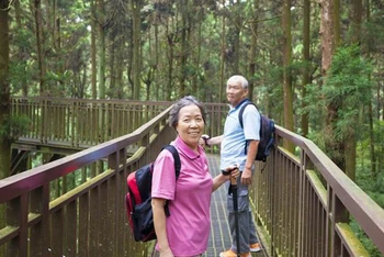 Trải qua quá trình dài lao động, phần lớn người cao tuổi có nhu cầu được nghỉ ngơi. (Ảnh minh họa: Vietravel/TTXVN)