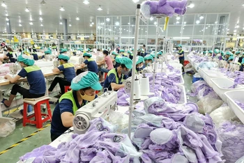 Số doanh nghiệp tăng nhanh tạo thêm nhiều việc làm cho người lao động vùng nông thôn tỉnh Thái Bình (Ảnh: Mai Tú)