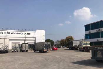 Ngày đầu hoạt động trở lại, số phương tiện đến kiểm định tại Trung tâm đăng kiểm xe cơ giới 17-02D tỉnh Thái Bình khá thưa thớt.