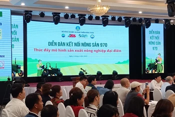 Hơn 200 đại biểu tham dự Diễn đàn tại đầu cầu tỉnh Thái Bình.