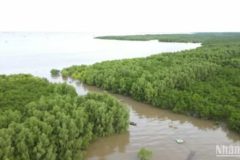 Một góc Khu bảo tồn thiên nhiên đất ngập nước Tiền Hải nằm trên địa bàn xã Nam Thịnh.