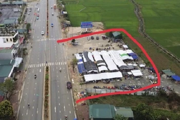 Khu đất và khu lán, nhà tôn (khu vực bôi đỏ) do ông Nguyễn Hữu Phục dựng lên trên đất nông nghiệp (đất trồng lúa). (Ảnh: CTV)