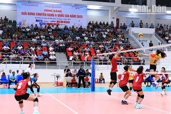 Trận bóng chuyền nữ Thái Nguyên và Đắk Lắk diễn ra sôi nổi, hấp dẫn.
