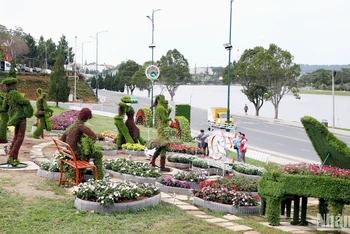 Không gian hoa gắn với thành phố sáng tạo âm nhạc bên hồ Xuân Hương, thành phố Đà Lạt.
