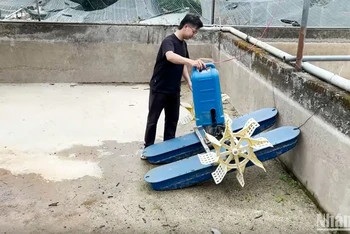 Nguồn nước suối đang cạn kiệt khiến nhiều hộ nuôi cá nước lạnh tại xã Rô Men, huyện Đam Rông, Lâm Đồng lo lắng.