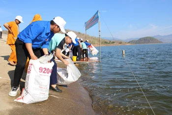 Các đơn vị thả con giống tại hồ thủy lợi sông Lũy.