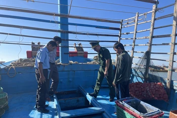 Lực lượng chức năng kiểm tra tàu cá tại cảng cá Phan Thiết