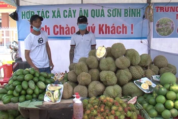 Một gian hàng tại Lễ hội trái cây huyện Khánh Sơn lần thứ nhất năm 2019.