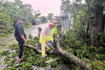 Cảnh sát giao thông thu dọn cây xanh ngã đổ tại Quảng Ngãi.