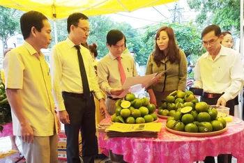 Lãnh đạo huyện Hải Lăng và Hội Nông dân tỉnh tham quan gian hàng cam hữu cơ của Công ty Bàu Giàng.