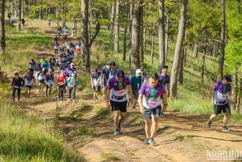 Các vận động viên tham gia giải Dalat Ultra Trail lần thứ 4.