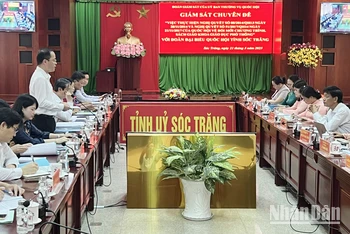 Đồng chí Đinh Công Sỹ, Phó Chủ nhiệm Ủy ban Văn hóa, Giáo dục của Quốc hội phát biểu tại buổi giám sát. 