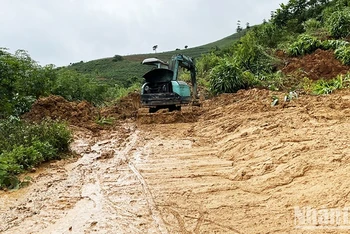 (Ảnh minh họa)