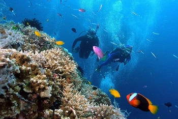 Lặn biển tại khu vực Hòn Mun, Nha Trang. (Ảnh: PHONG NGUYÊN)