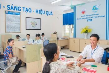 Nhờ nguồn vốn của TYM, hàng trăm nghìn phụ nữ đã phát triển kinh tế, thoát nghèo bền vững,.