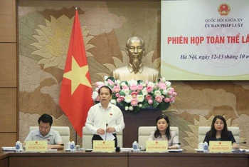 Chủ nhiệm Ủy ban Pháp luật Hoàng Thanh Tùng phát biểu tại phiên họp. 