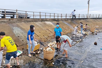 Lực lượng cán bộ, đảng viên và nhân dân tham gia thu gom rác ở thành phố Phú Quốc.