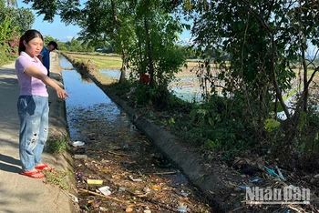 Người dân sống bên đoạn cuối kênh thủy lợi N24 Bắc Phú Ninh chảy qua địa phận khối phố Hương Trà Đông, phường Hòa Hương, thành phố Tam Kỳ bức xúc vì ô nhiễm môi trường.