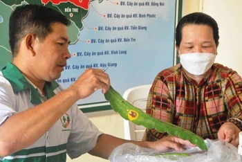 Những "bác sĩ" bắt bệnh cho cây trồng